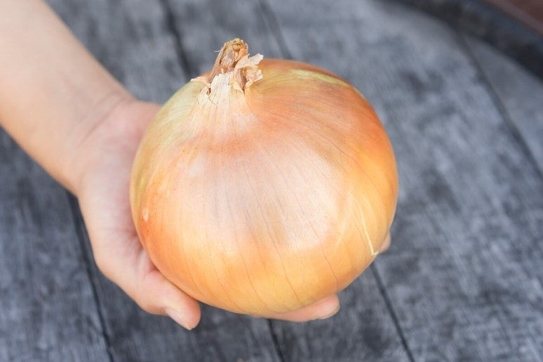 兵庫県淡路市で人気の返礼品