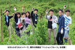 事業に参加する大学生たち