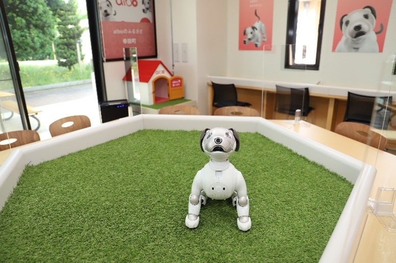 幸田町役場　庁舎内で触れ合える可愛らしいaibo