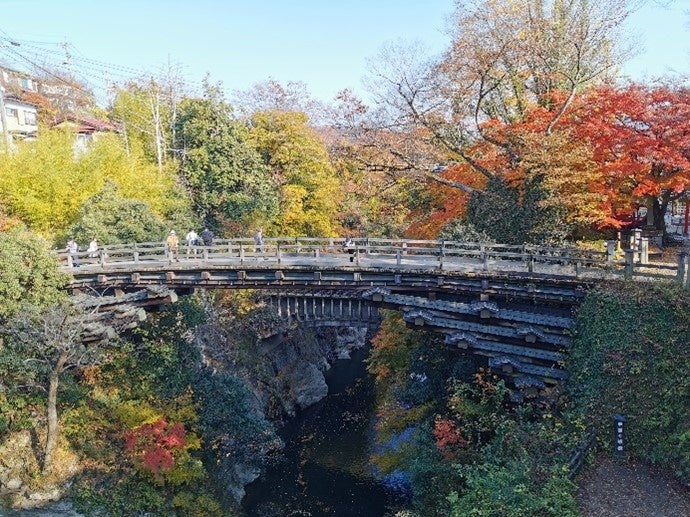 劣化が深刻で修繕が必要となっている、日本三奇橋の一つ「猿橋」
