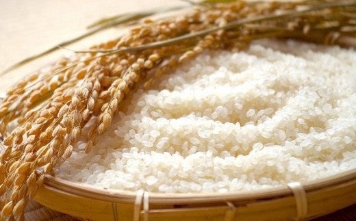 高級ブランド米「魚沼産コシヒカリ」