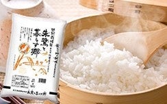 農薬、化学肥料を減らして栽培された「佐渡コシヒカリ」