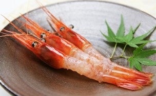 水揚げと同時に梱包される新鮮な甘エビ