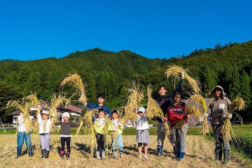 地域の子どもたちと南魚沼産コシヒカリの稲刈りの様子