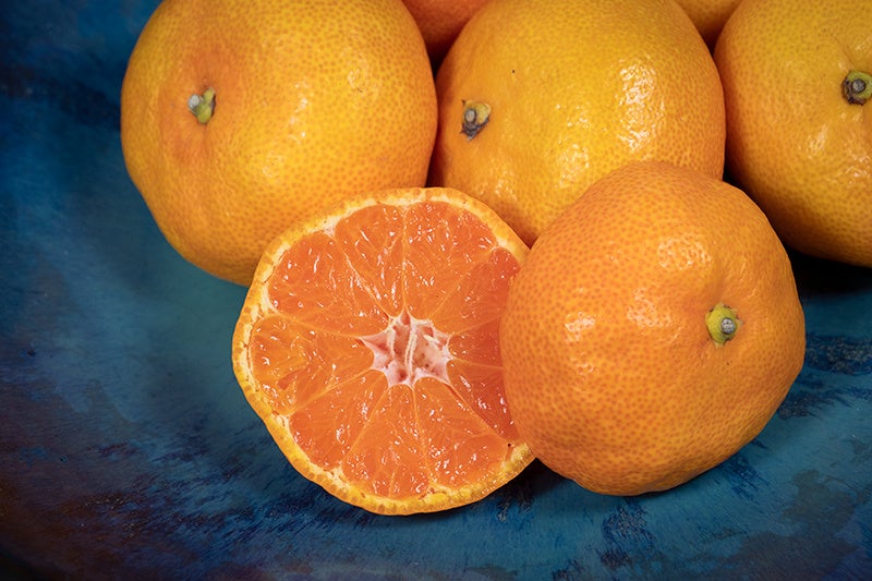 徳島県佐那河内村で人気の返礼品