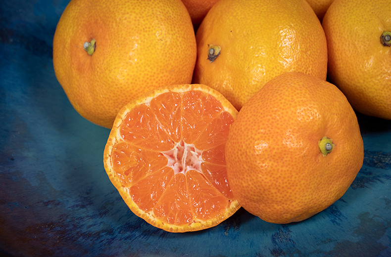 徳島県佐那河内村で人気の返礼品