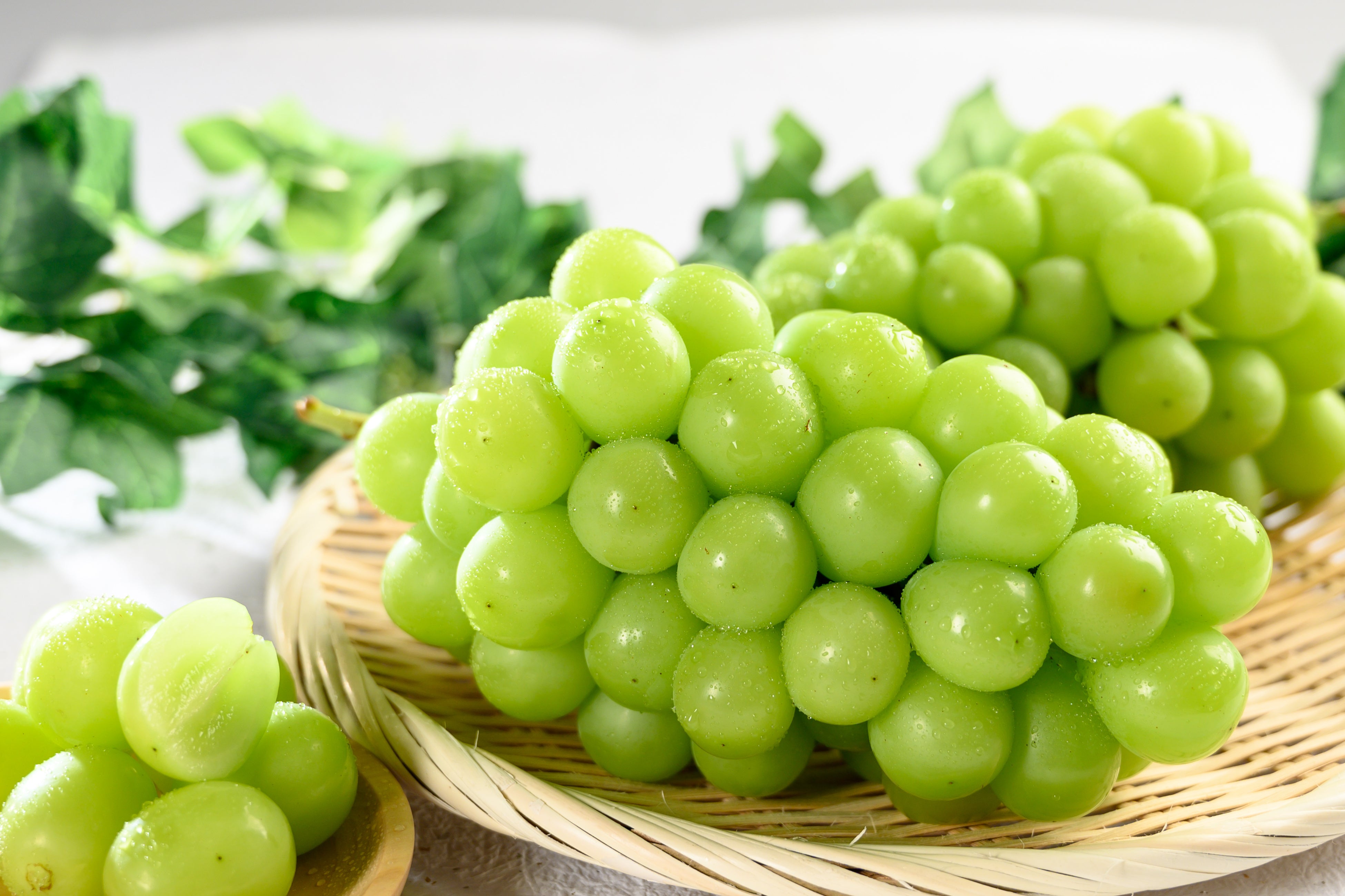 山梨県甲斐市で人気の返礼品