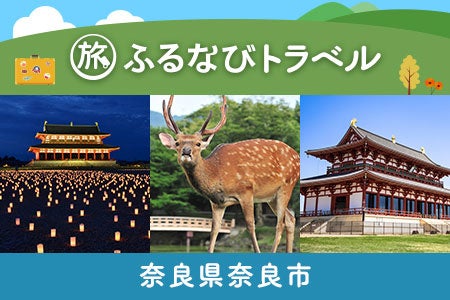 奈良県奈良市で人気の返礼品