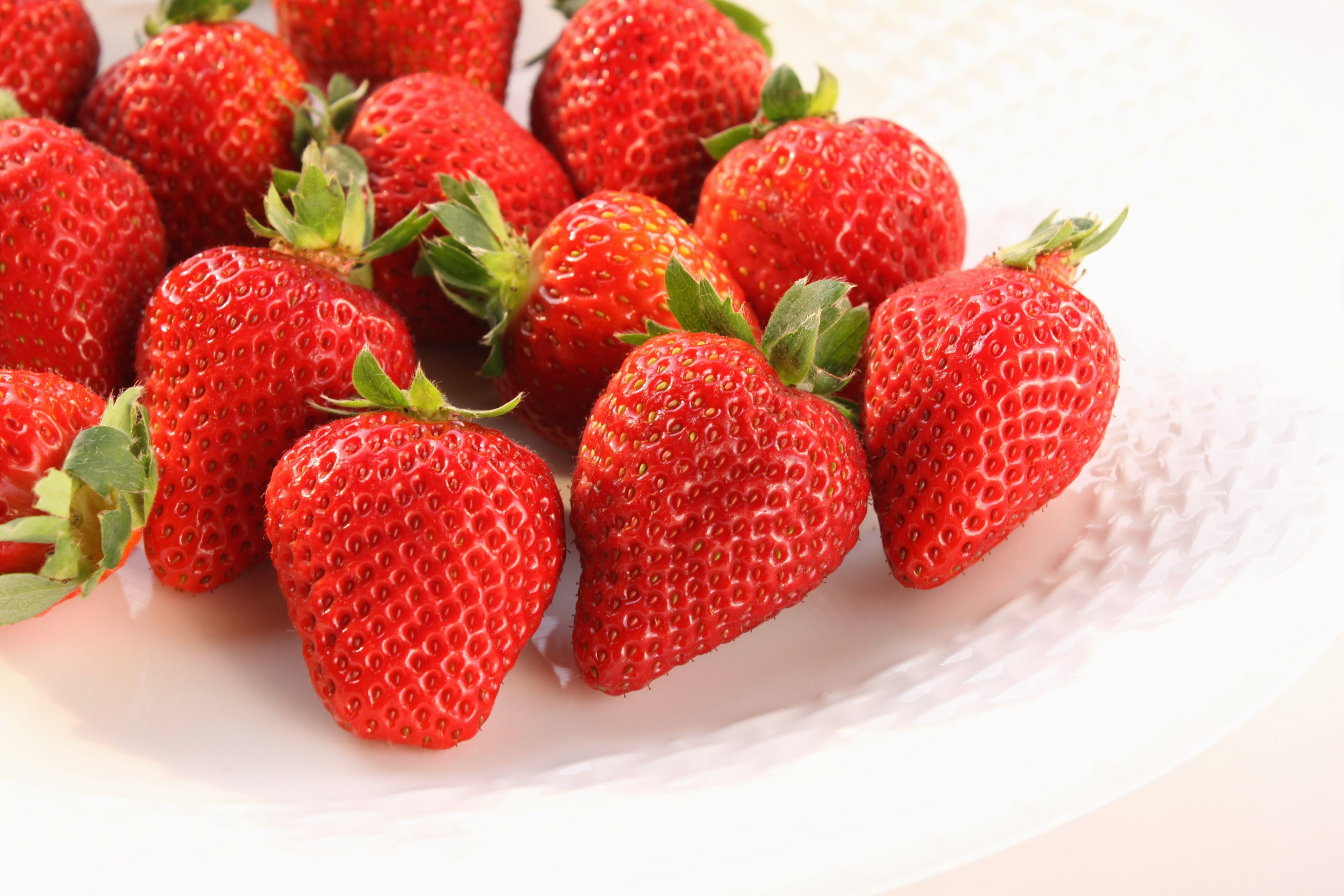 福岡県香春町で人気の返礼品