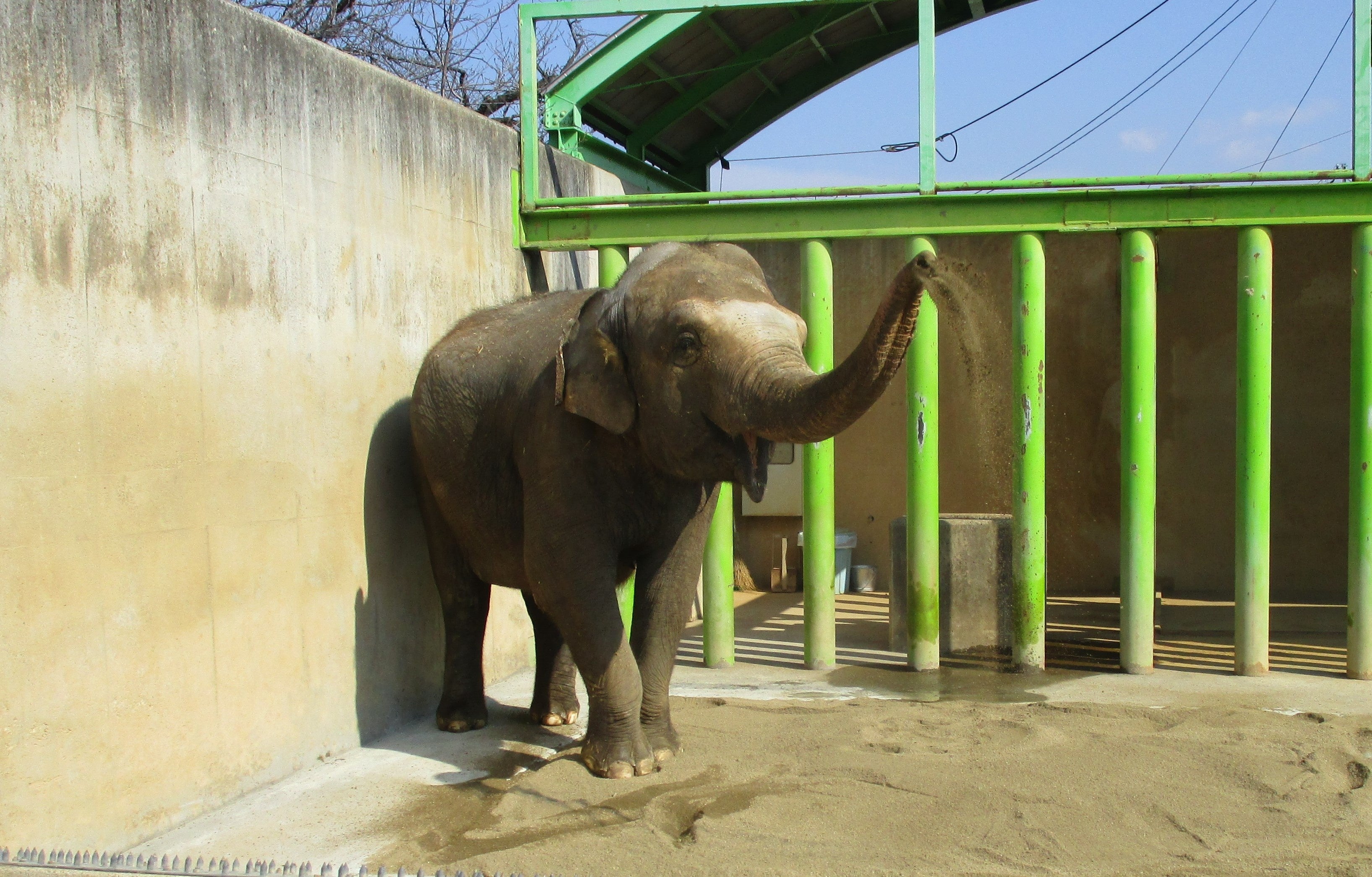 遊亀公園附属動物園の動物たち