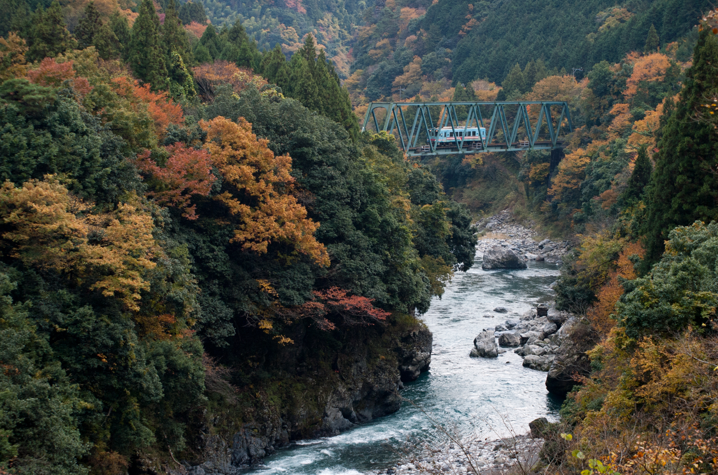 四季折々の景観の中走行を続ける「樽見鉄道」
