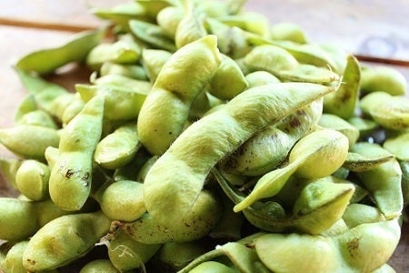 京都府京丹波町で人気の返礼品