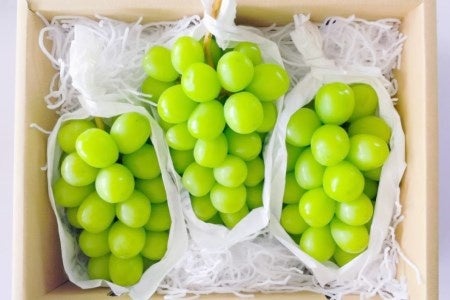 山梨県韮崎市で人気の返礼品