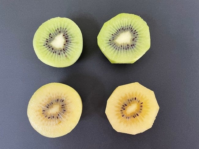 左：KA-700H　右：包丁でむいたキウイの断面