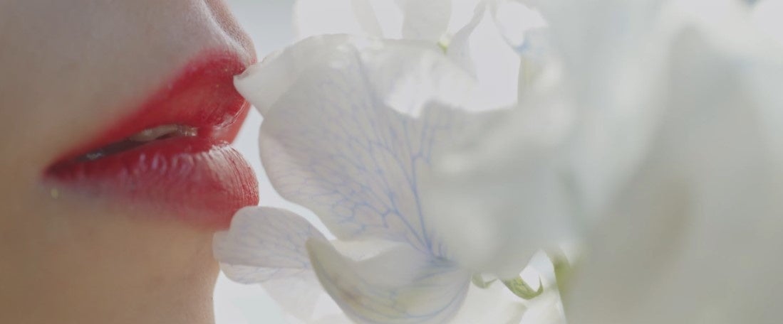 MFTの非魚眼レンズとして世界で最も広角なレンズや最小最軽量の