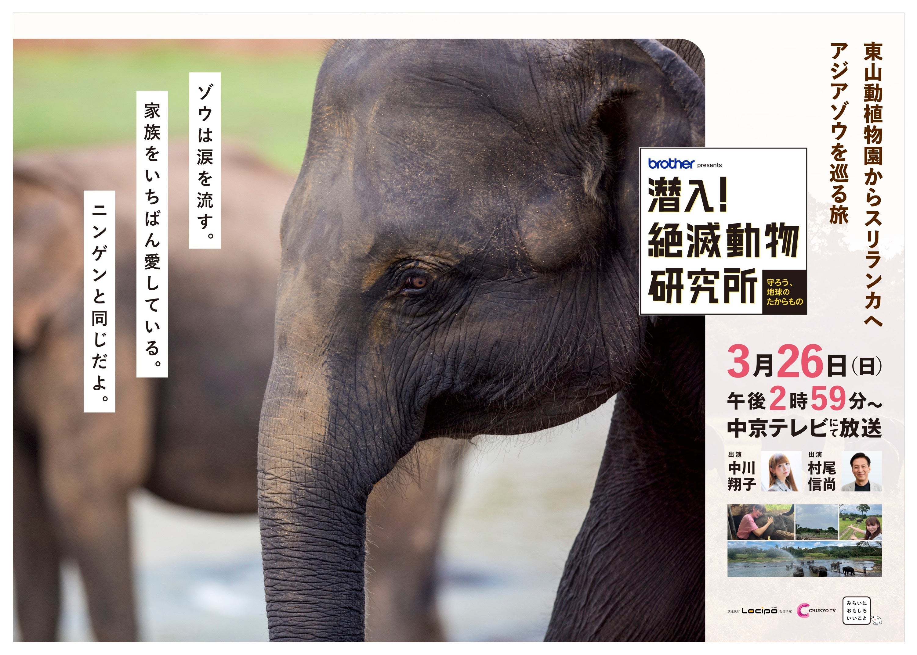 CoeFontのAI音声が、中京テレビ番組内の解説放送ナレーションの音声に採用