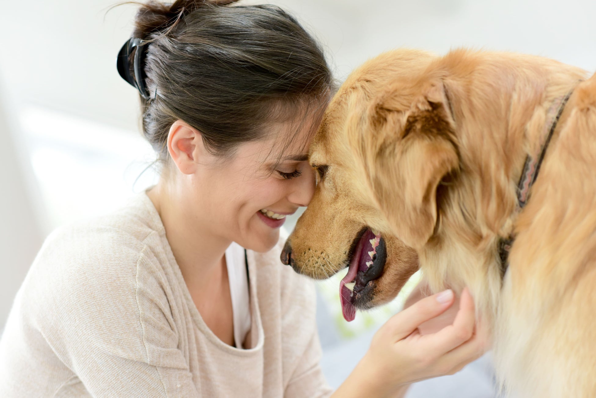 低刺激の犬用シャンプーバー