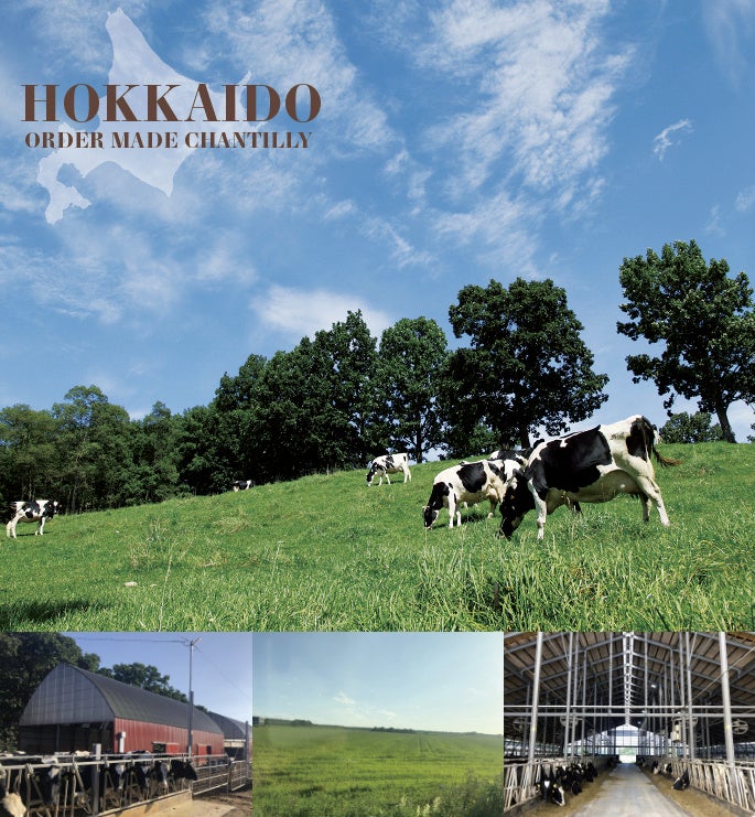 モンシェール ファーム