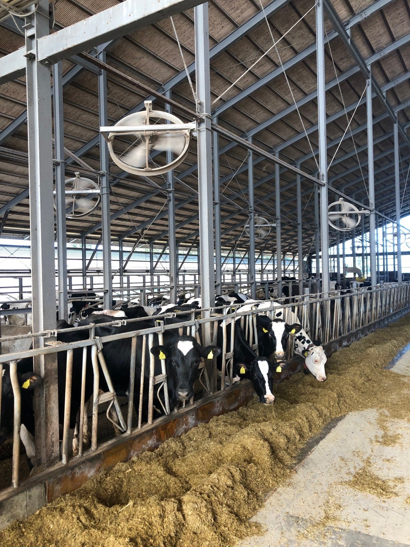 モンシェール ファーム