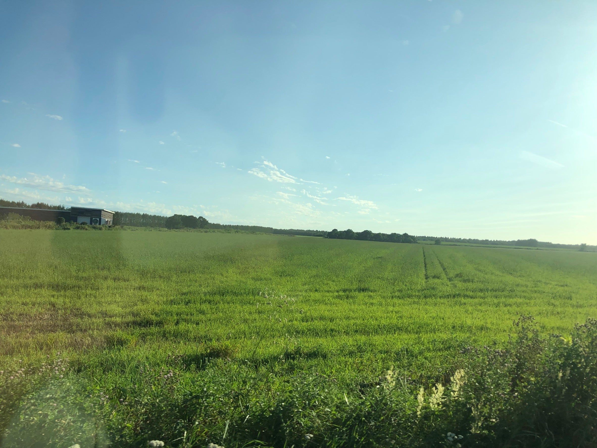 モンシェール ファーム