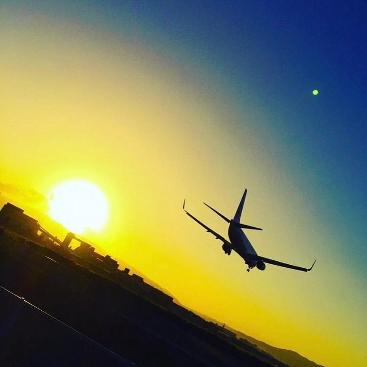 千里川の土手(夕焼け)