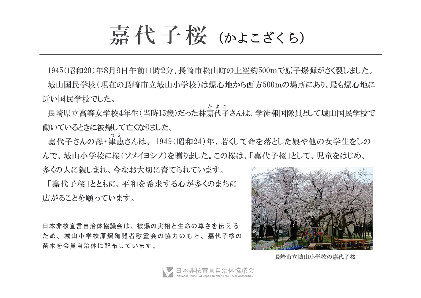 嘉代子桜について