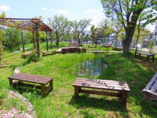 同校ビオトープ