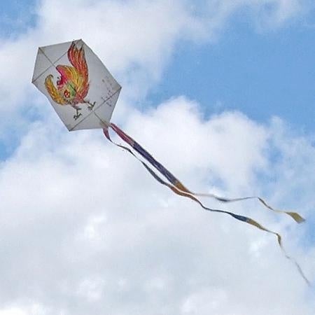 願凧