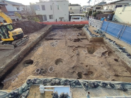 調査区全景（北半区）