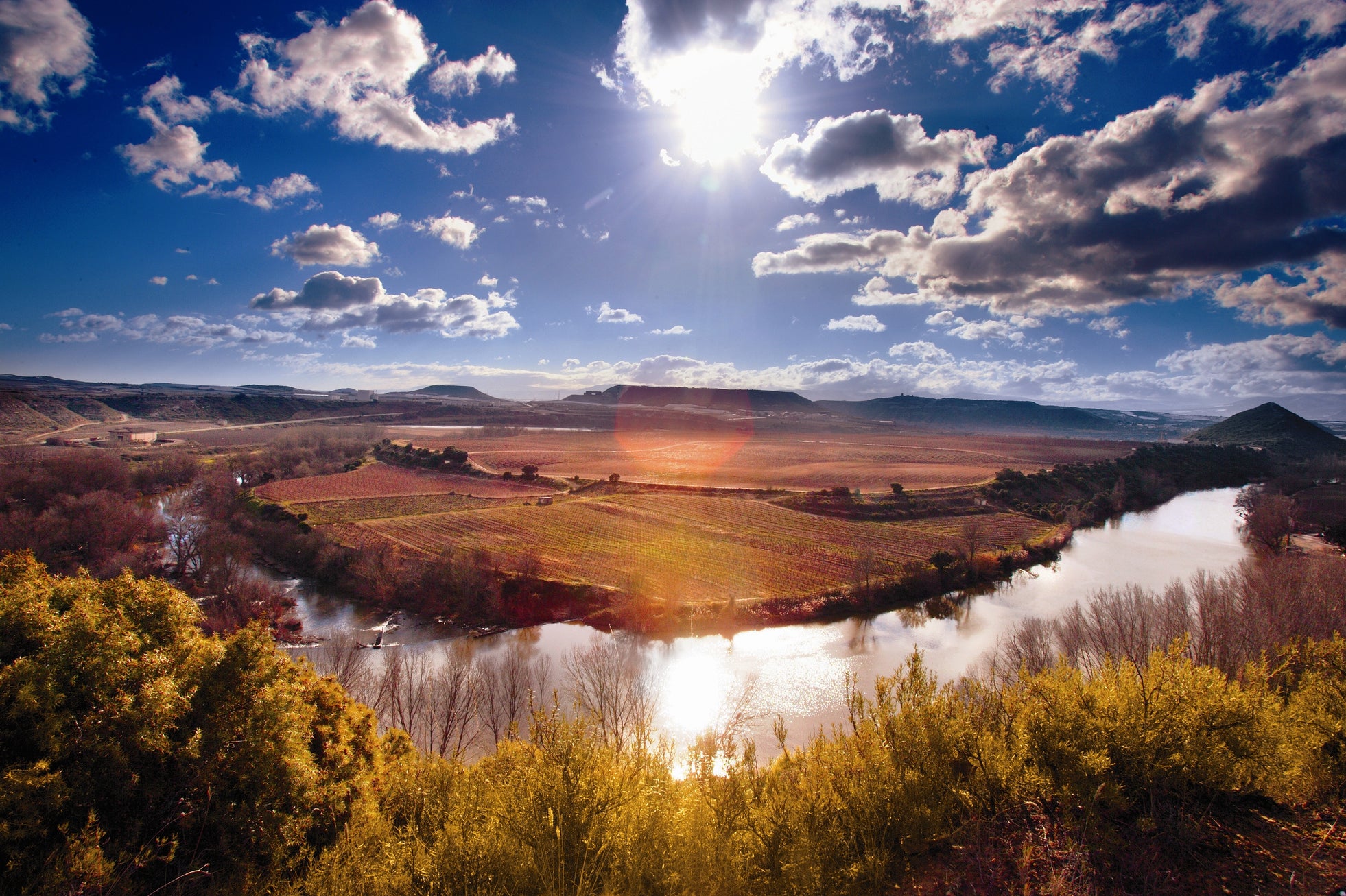 スペインワイン&スピリッツ試飲商談会が2025年11月に開催(東京)主催:日西商業会議所