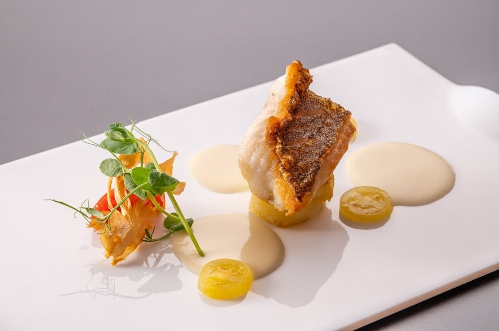 ランチイメージ