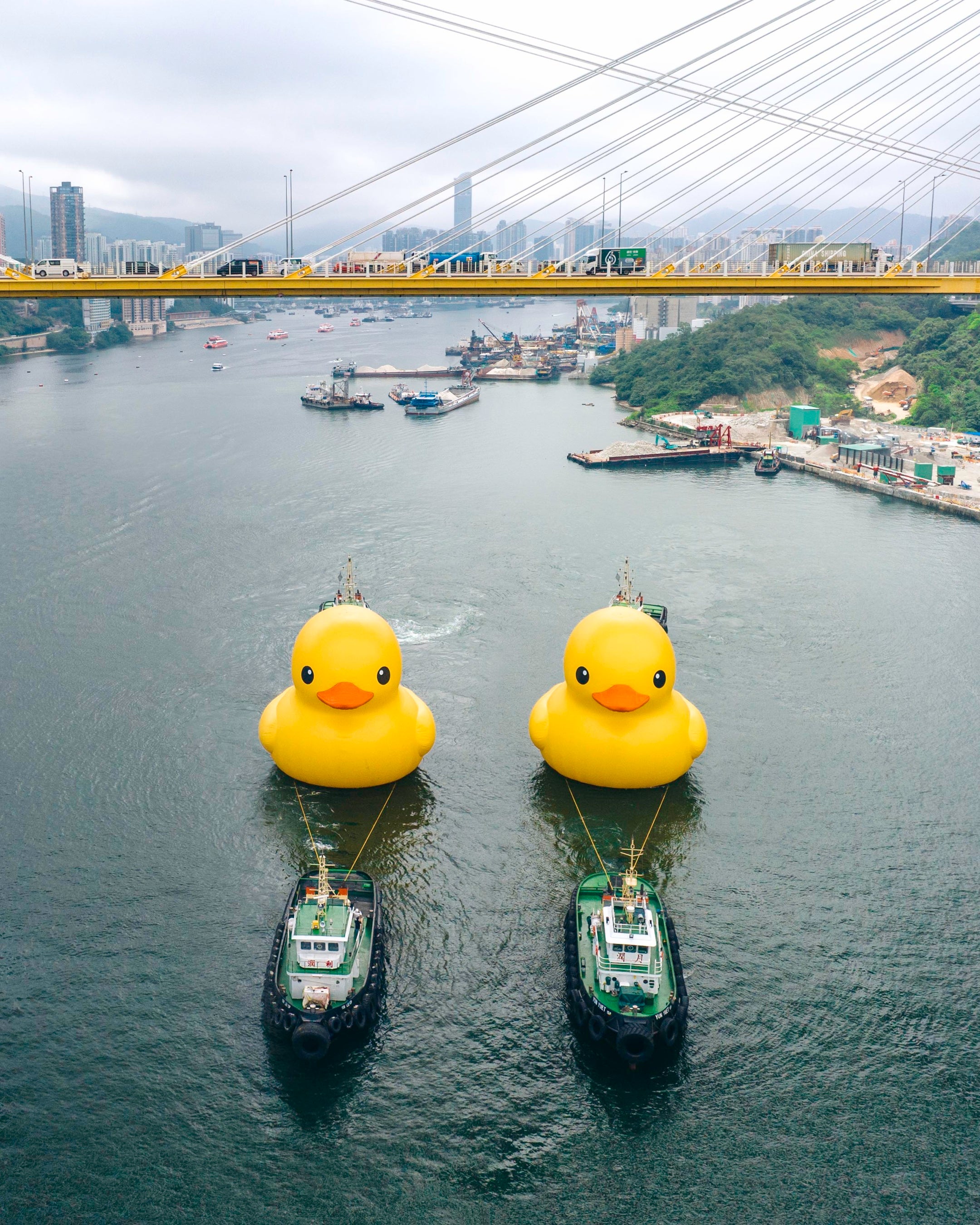 フロレンティン・ホフマン《Double Ducks》2023, Hong Kong Photo courtesy of AllRightsReserved