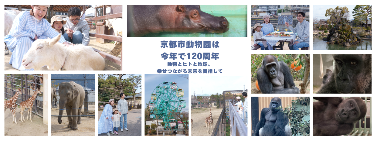 京都市動物園特集