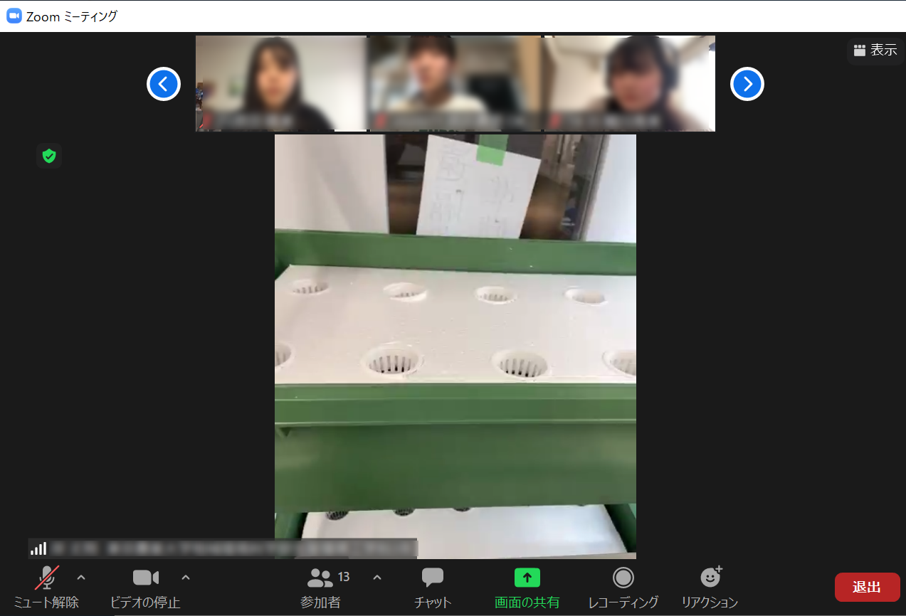 オンラインミーティングの様子
