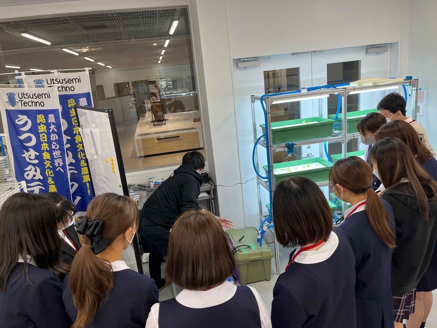 スマート植物工場見学