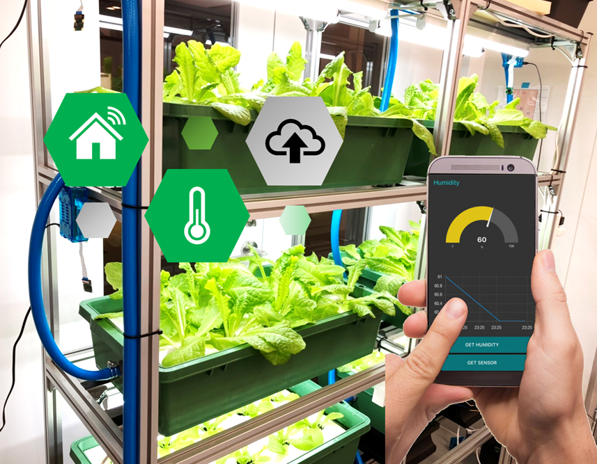 バイオロボティクス研究室