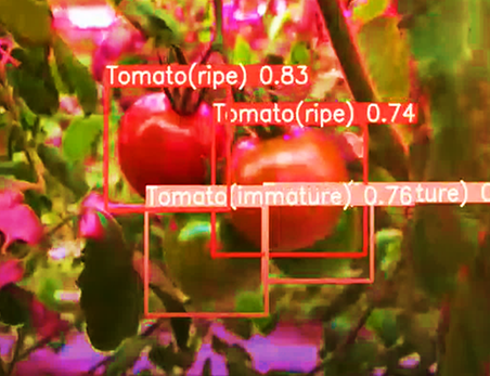 バイオロボティクス研究室