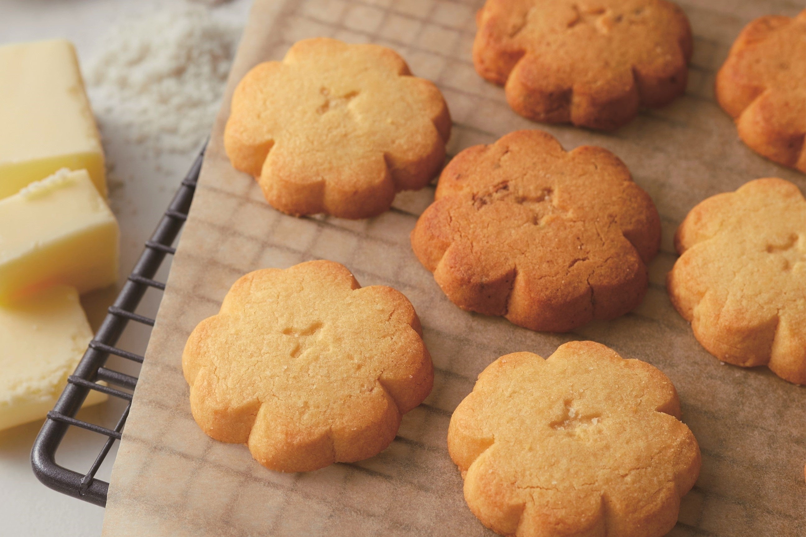 ゆかり〉を使った初のスイーツ、名古屋駅PLUSTAに初登場！ | 株式会社