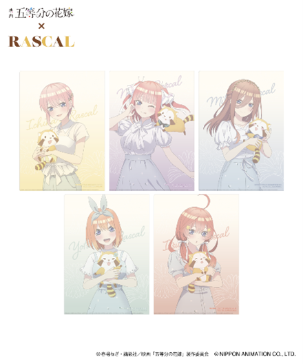 五等分の花嫁 HICUL(ハイカル) クリアファイル 15枚 全3種コンプセット 五等分の花嫁＊｜HICUL ONLINE STORE│ハイカル オンライン ストア