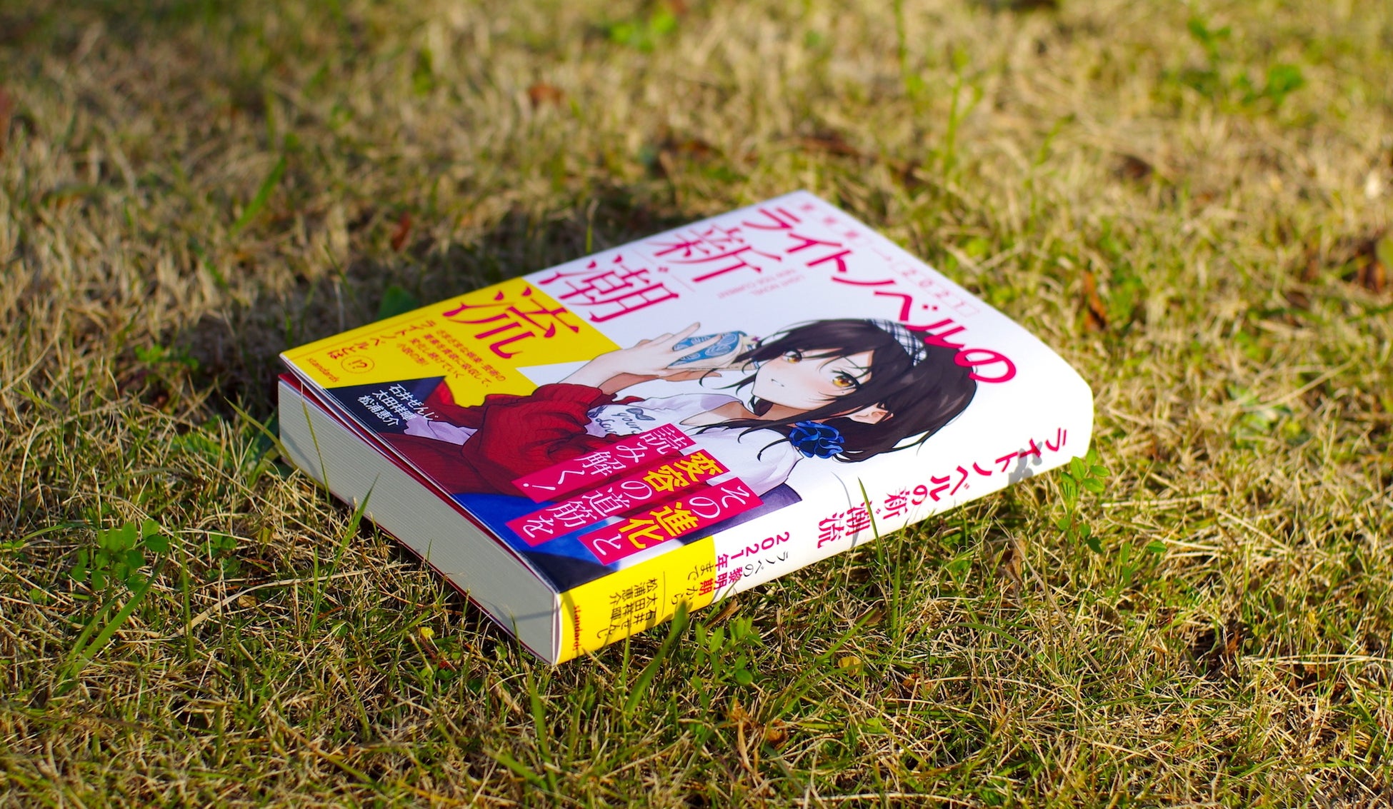 352ページの大ボリュームで5章に分けてライトノベル界の動きを解説しています。