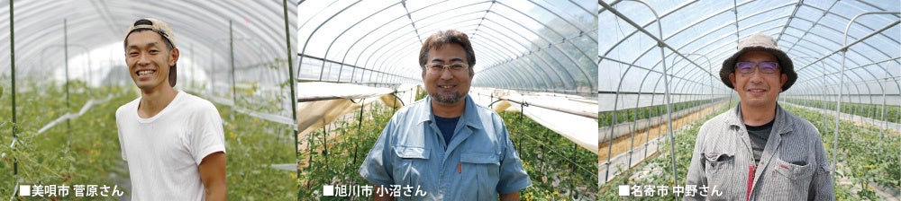 写真提供：サントリーフラワーズ株式会社