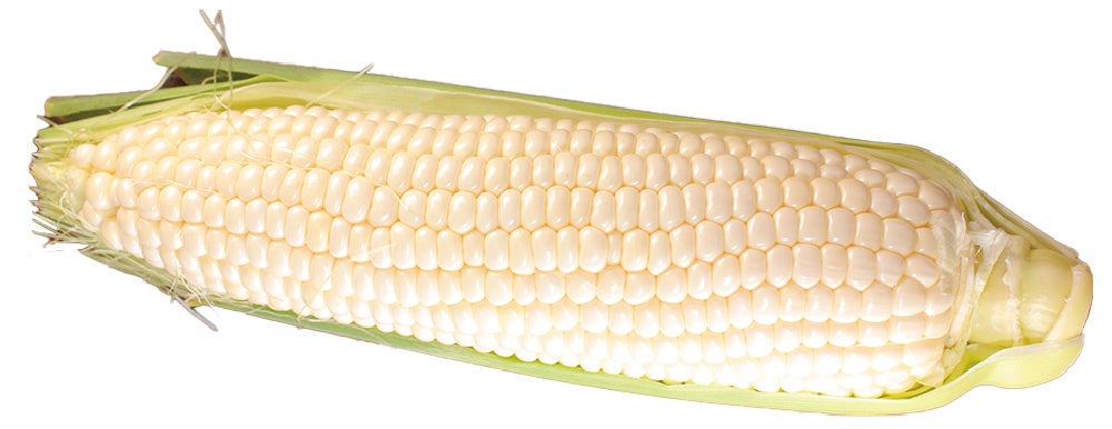 白い粒が特徴のピュアホワイト