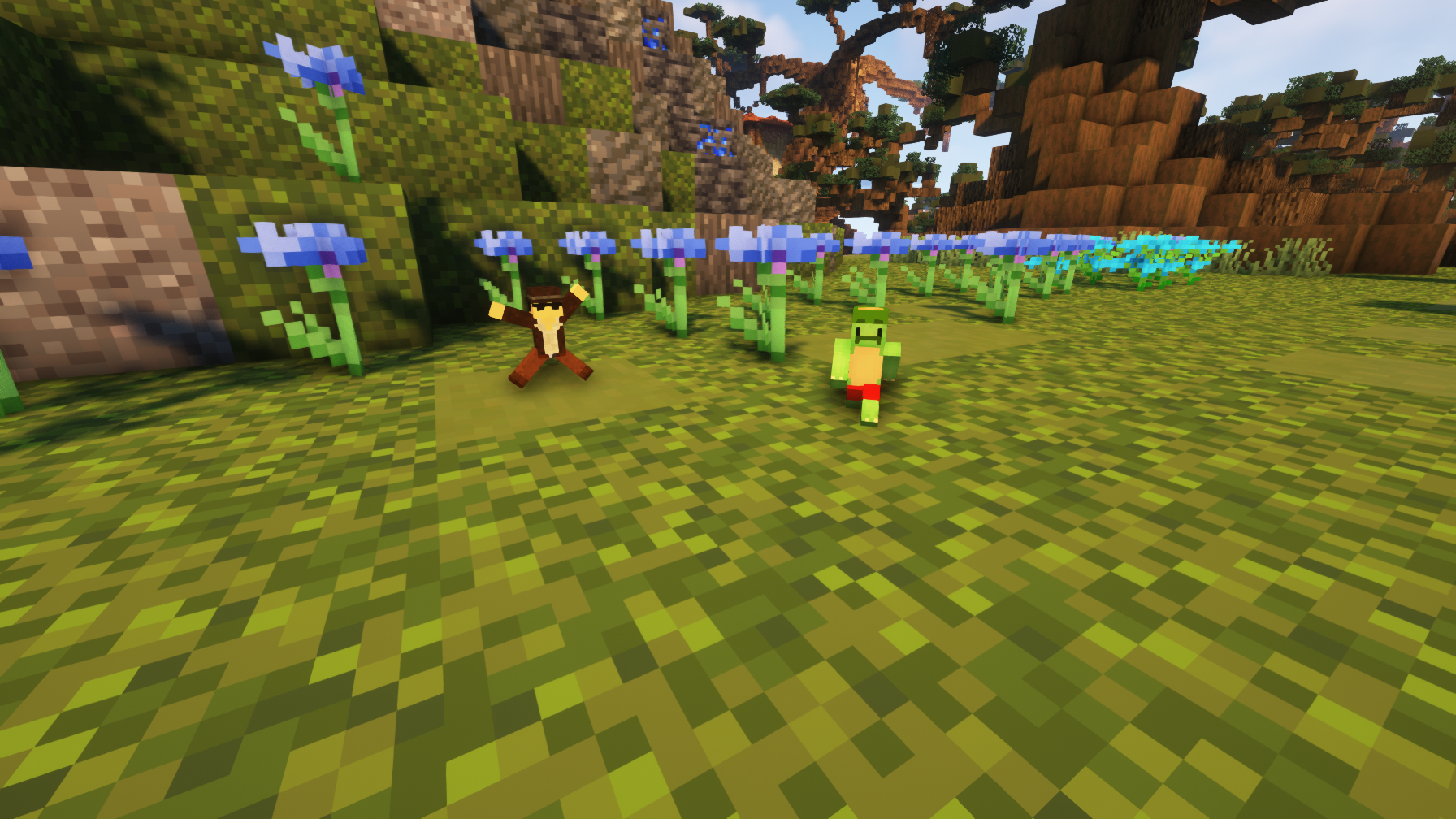 森に生息するこびとたち