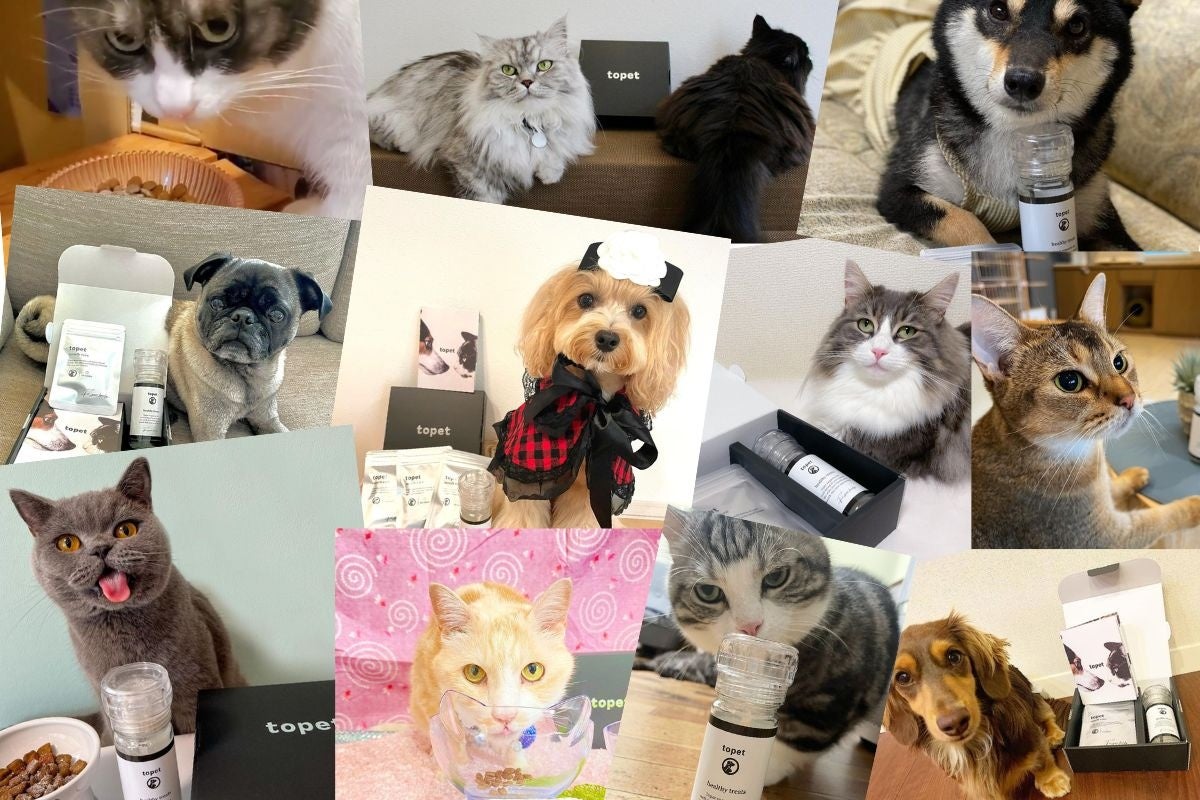 クラウドファンディングで目標達成率937 の犬猫用口腔ケアふりかけ お口のふりかけ 一部店舗で取扱開始 株式会社topetのプレスリリース