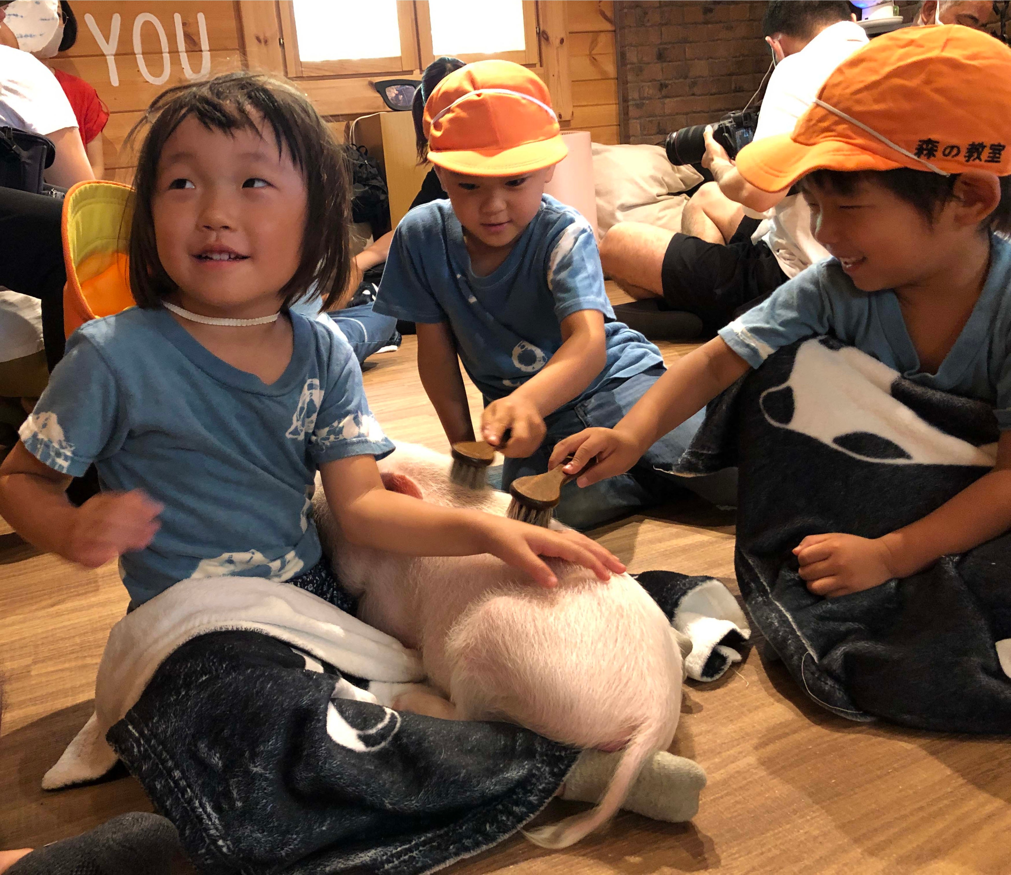 幼児の体験学習