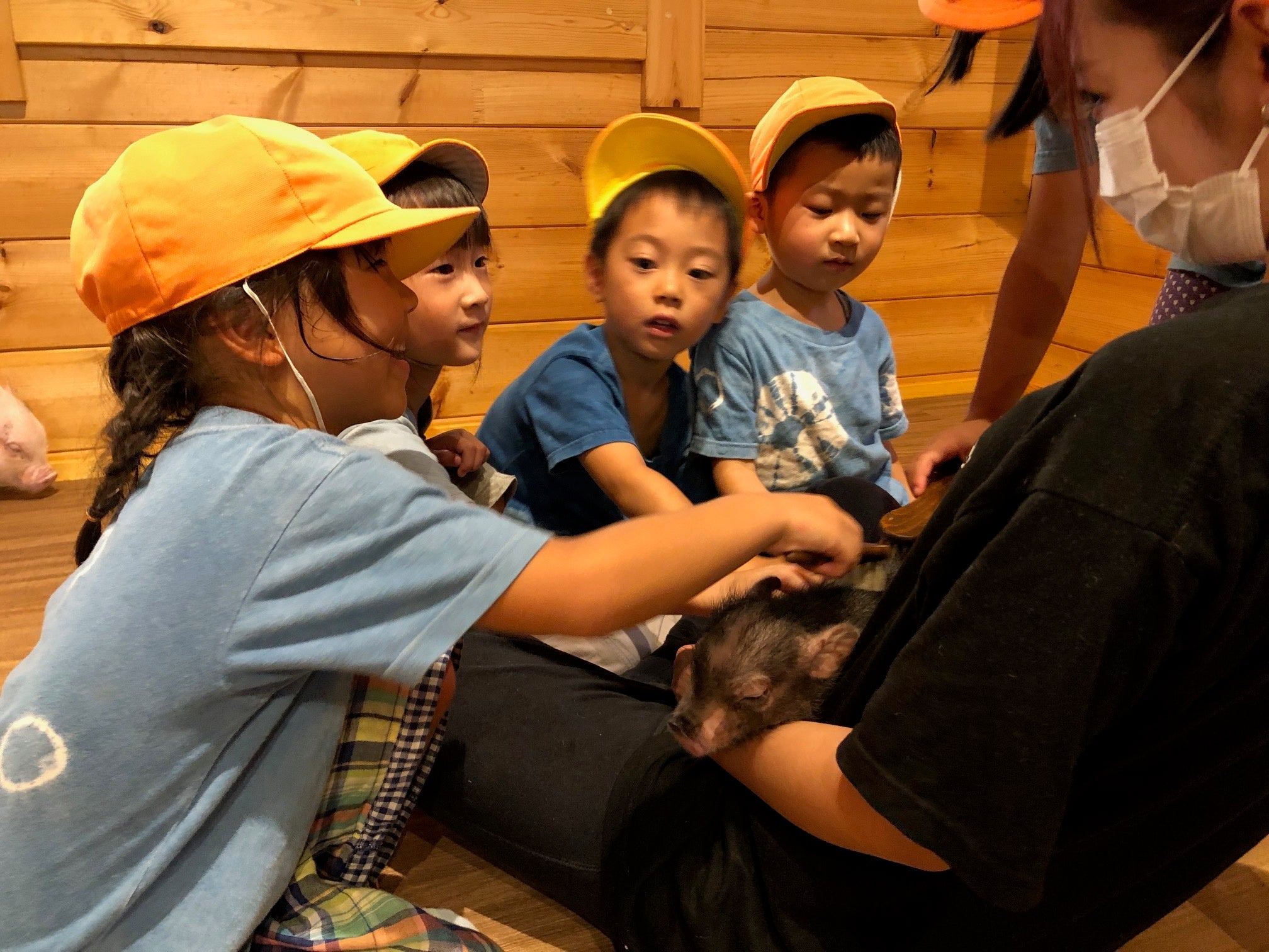 幼児の体験学習