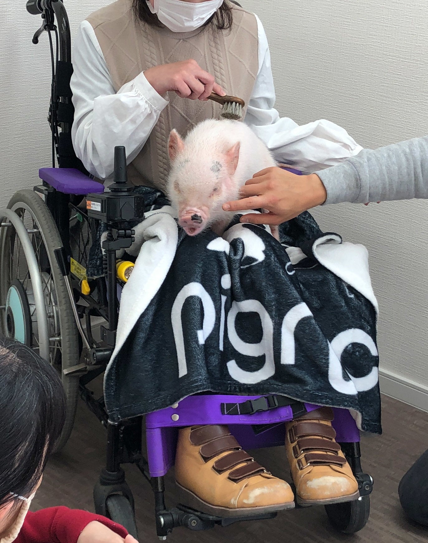 福祉施設セラピー訪問