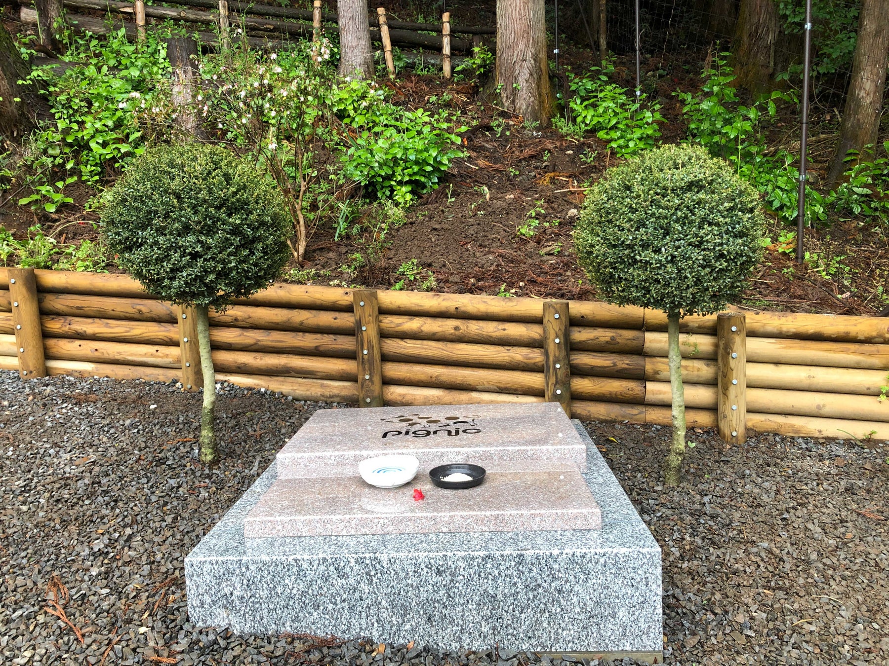 マイクロブタの牧場 Pignic Farm Cafe にお墓を建立 株式会社littlepiggiesのプレスリリース マイクロブタの牧場 Pignic Farm Cafe にお墓を建立 株式会社littlepiggiesのプレスリリース