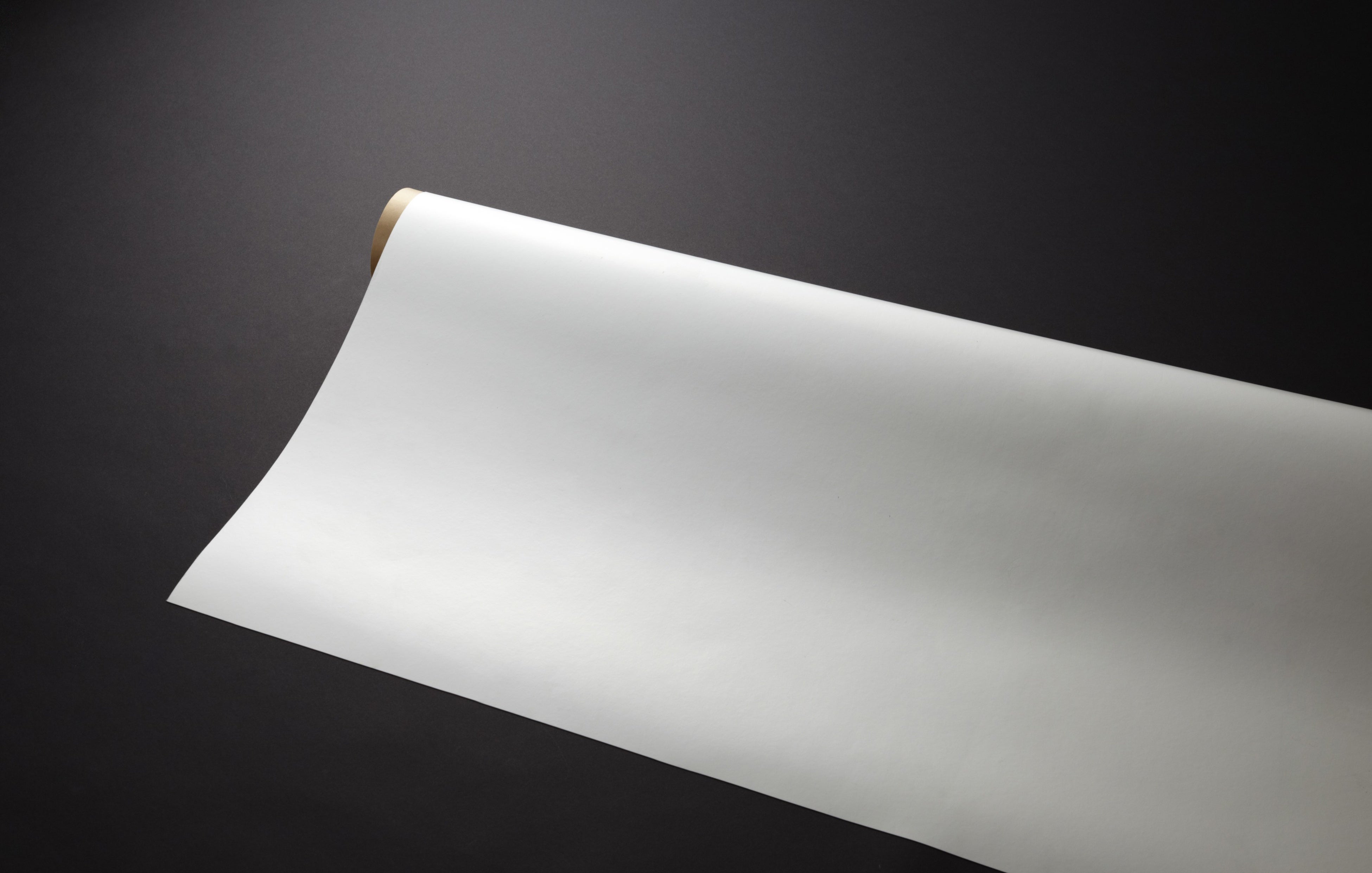 製品外観(色：ホワイト⋆6)