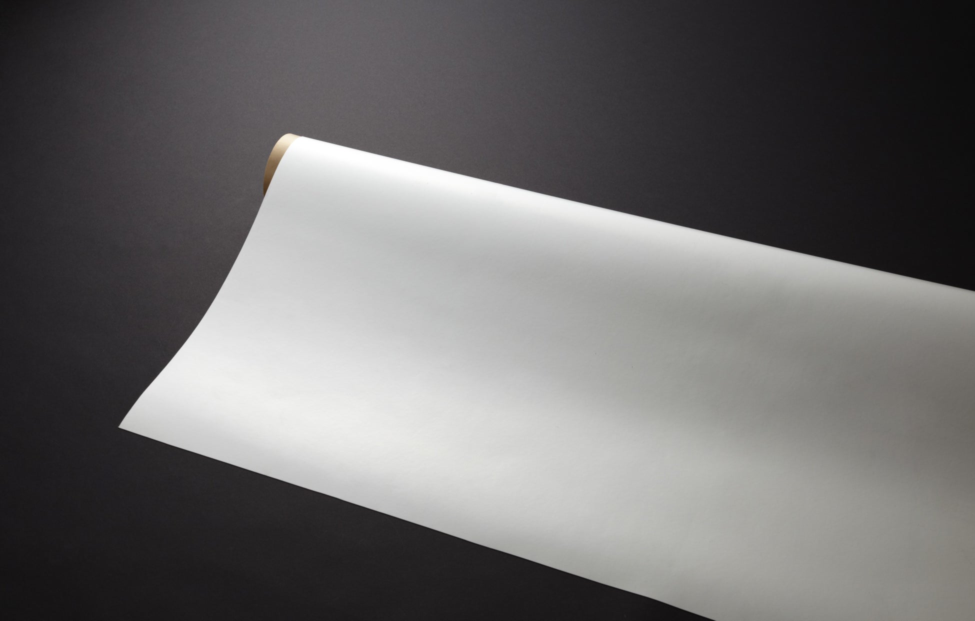 製品外観(色:ホワイト⋆⁷)